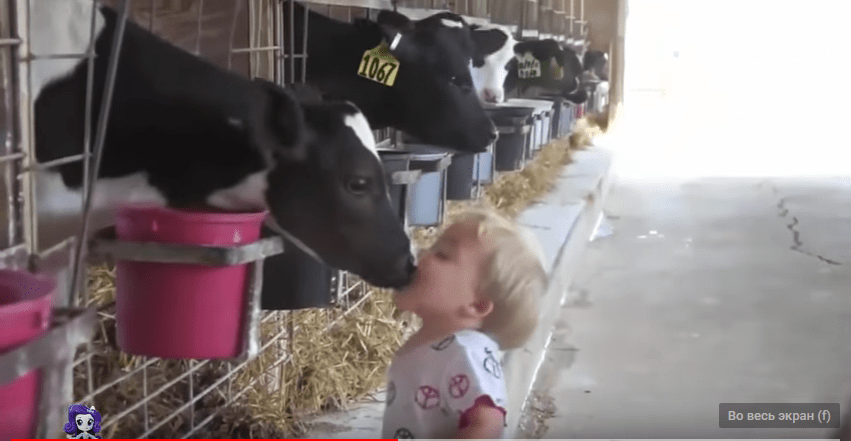 Английский для детей с приколами