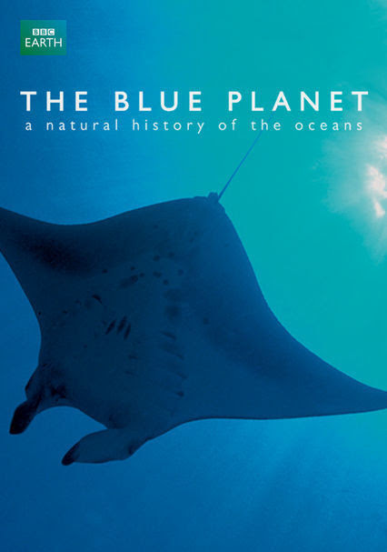 сериал The Blue Planet (Голубая планета) на английском с субтитрами
